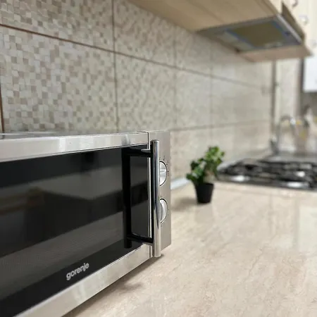 Victory Luxury Apartment *