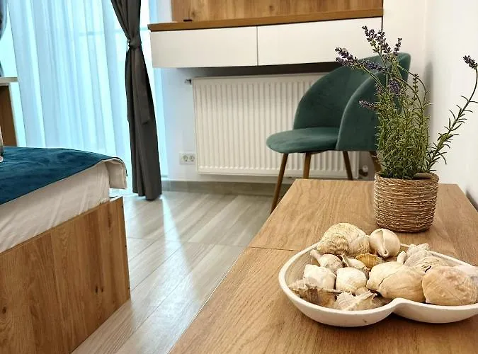 Victory Luxury アパート *