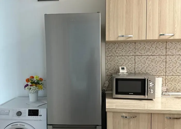 アパート Victory Luxury エフォリエ・ノルド