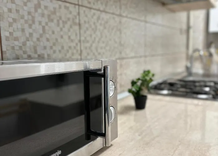 Victory Luxury アパート *